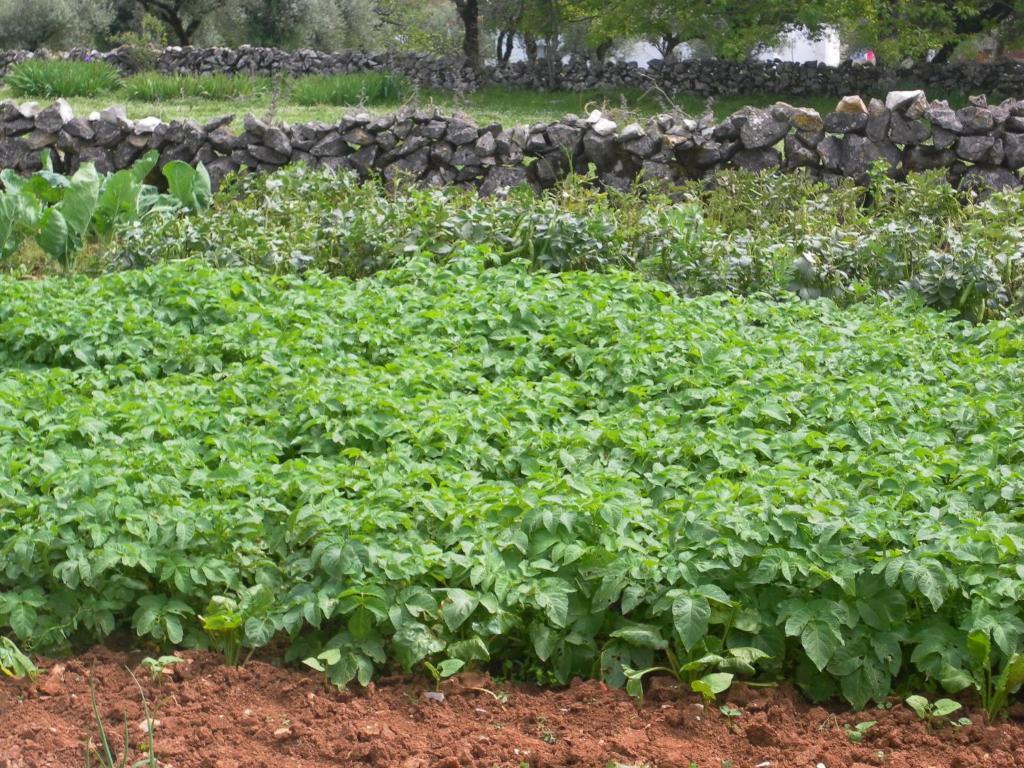 Retiro Da Avo Lidia - Turismo Rural Mendiga ภายนอก รูปภาพ