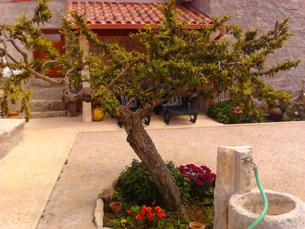 Retiro Da Avo Lidia - Turismo Rural Mendiga ภายนอก รูปภาพ