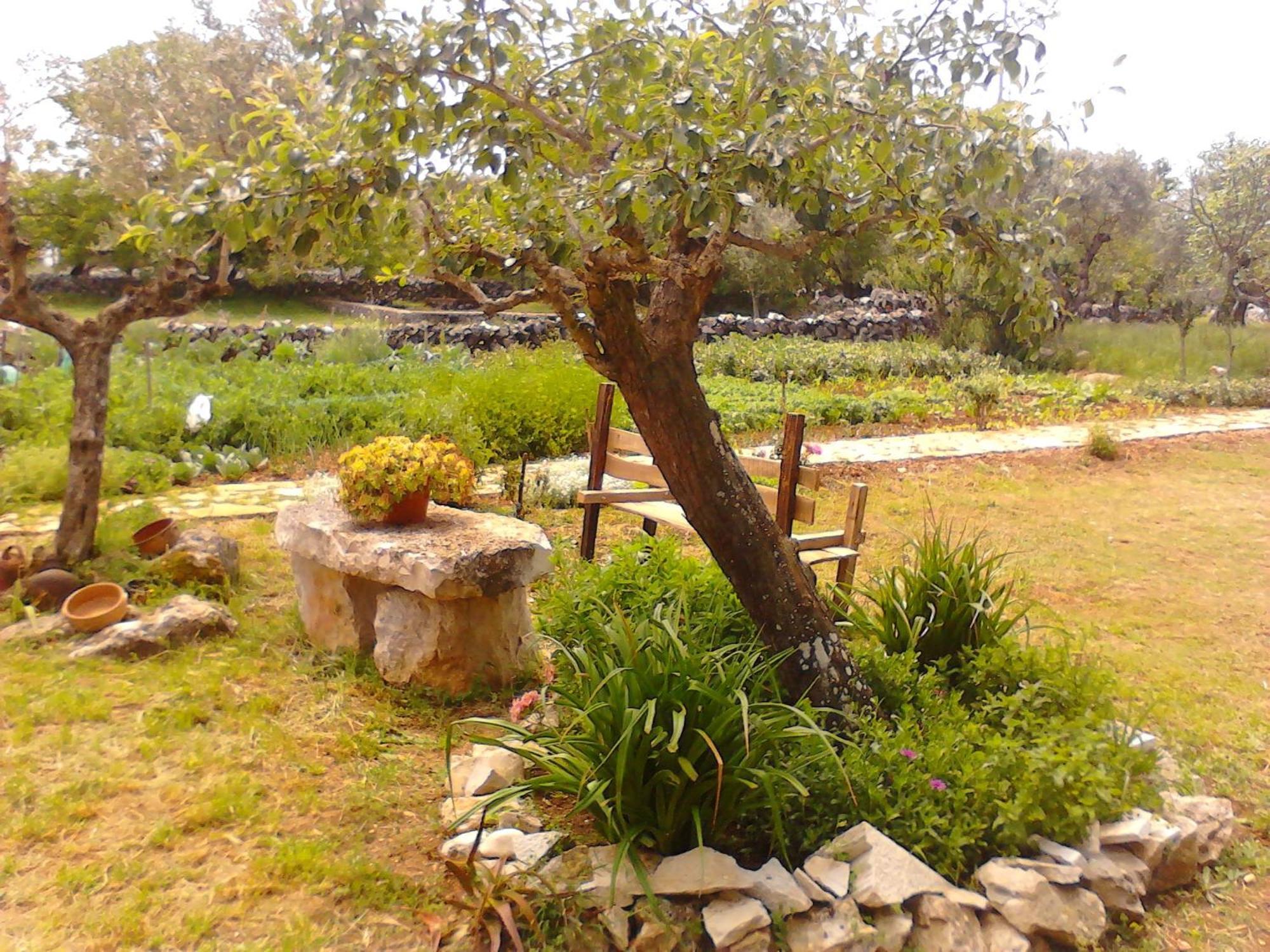 Retiro Da Avo Lidia - Turismo Rural Mendiga ภายนอก รูปภาพ