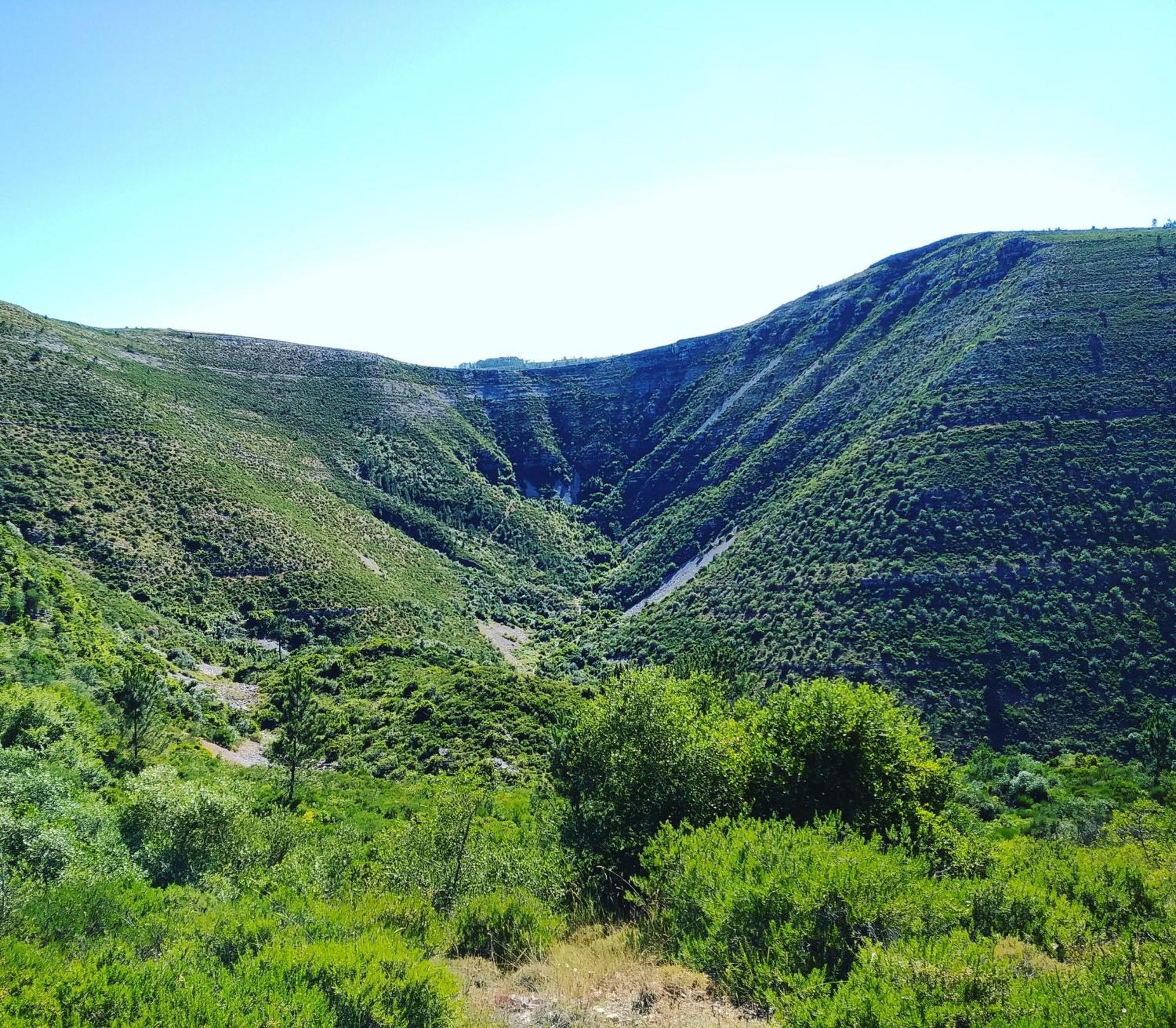 Retiro Da Avo Lidia - Turismo Rural Mendiga ภายนอก รูปภาพ